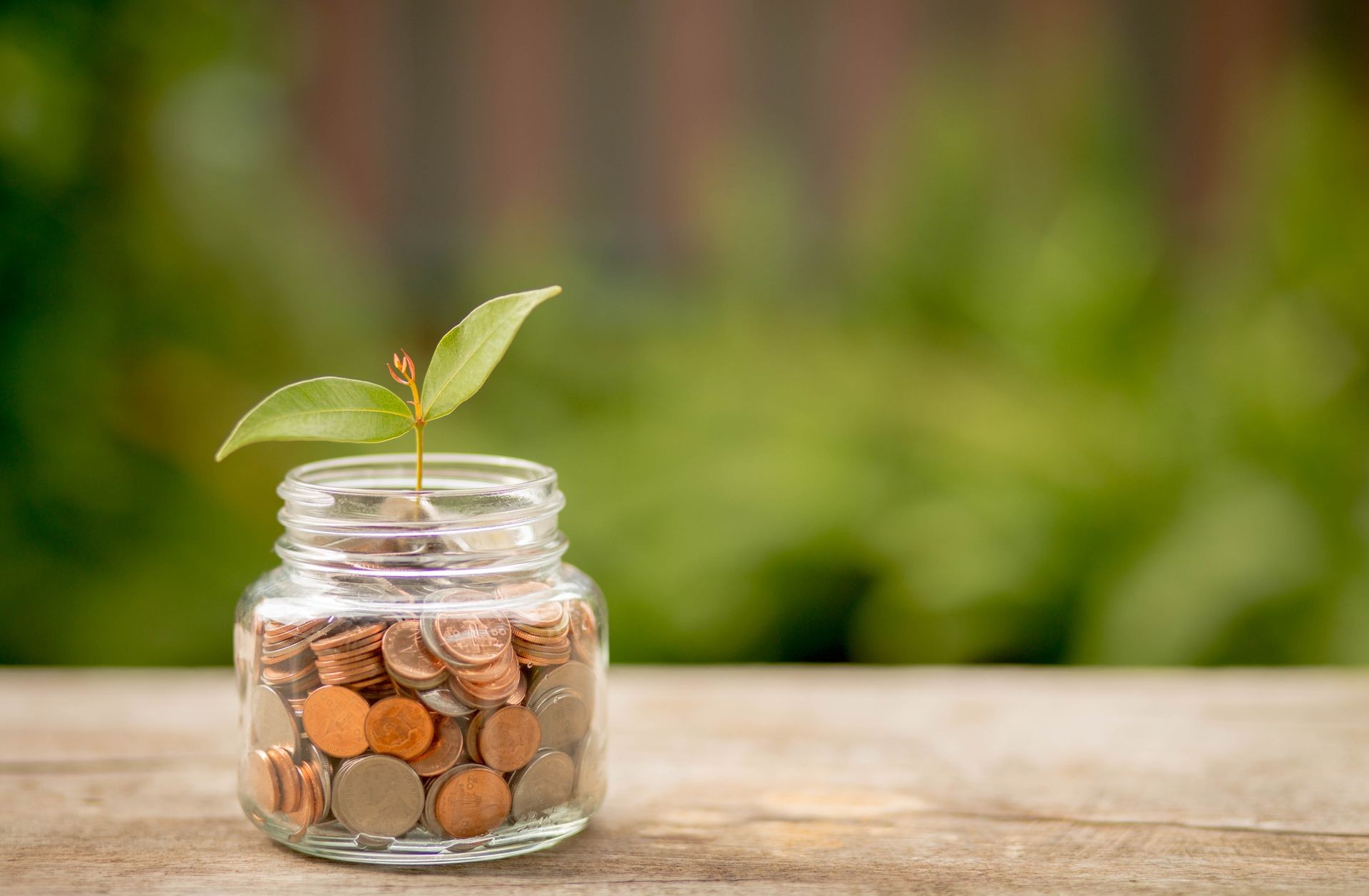 Coins in jar on wooden table blurred nature background.Plant Growing in saving Coins-Investment and Interest concept.